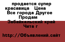 продается супер красавица › Цена ­ 50 - Все города Другое » Продам   . Забайкальский край,Чита г.